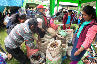 En Cusco: En el Distrito de Vilcabamba se desarrollo Feria Agropecuaria 2023